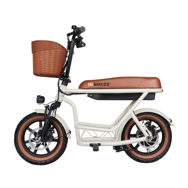 Urban E-scooter CX8